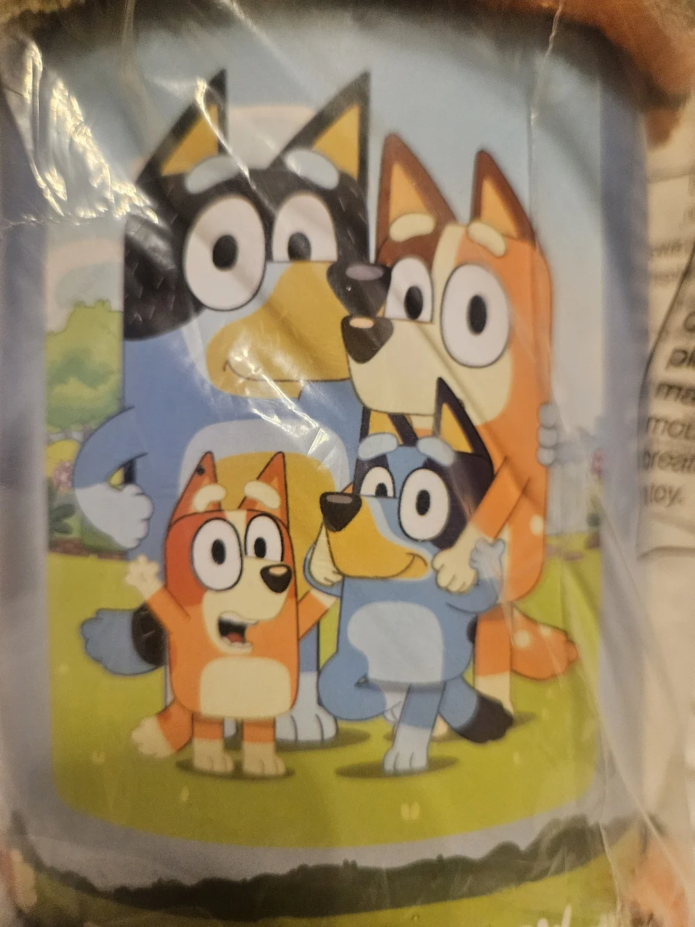 Bluey soft plush